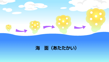 暖かく湿った空気が作られる